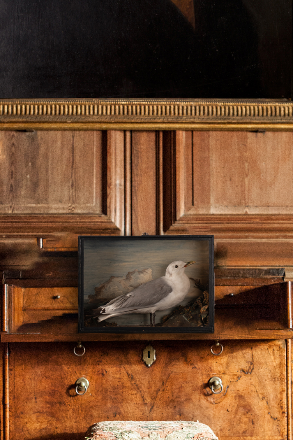 Victorian Kittiwake Case