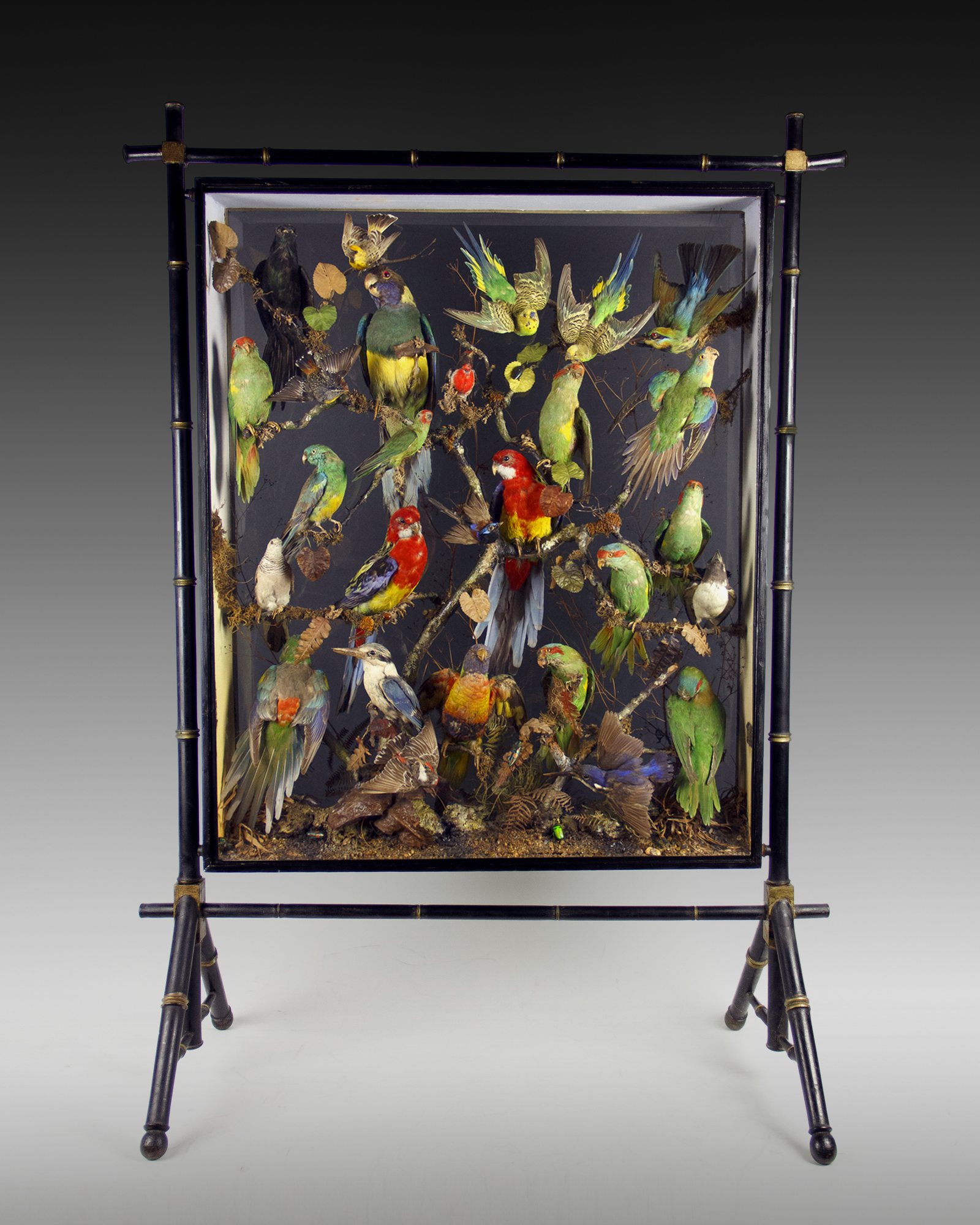 Australian Birds Firescreen