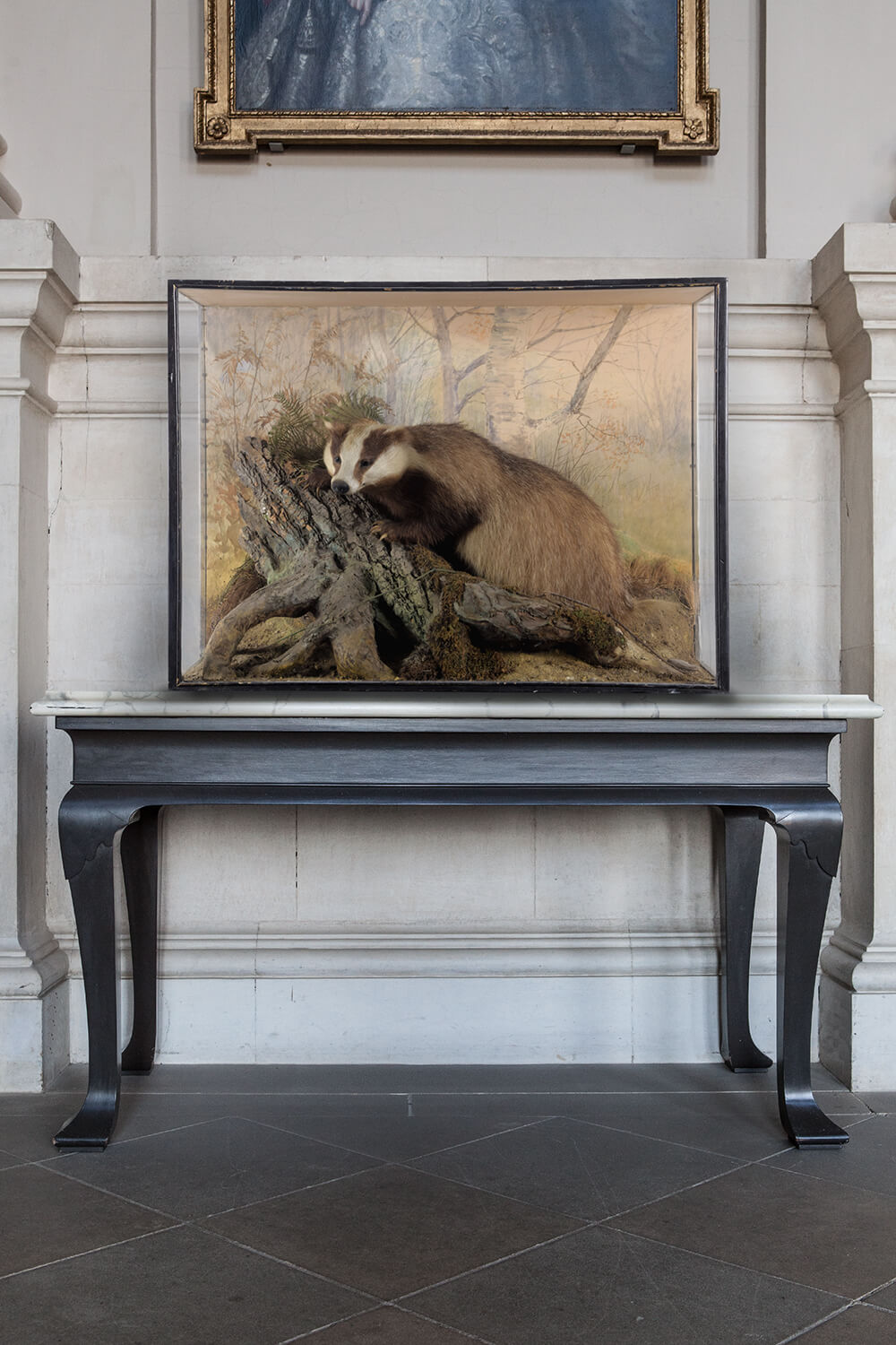 Fine Taxidermy Badger By Peter Spicer