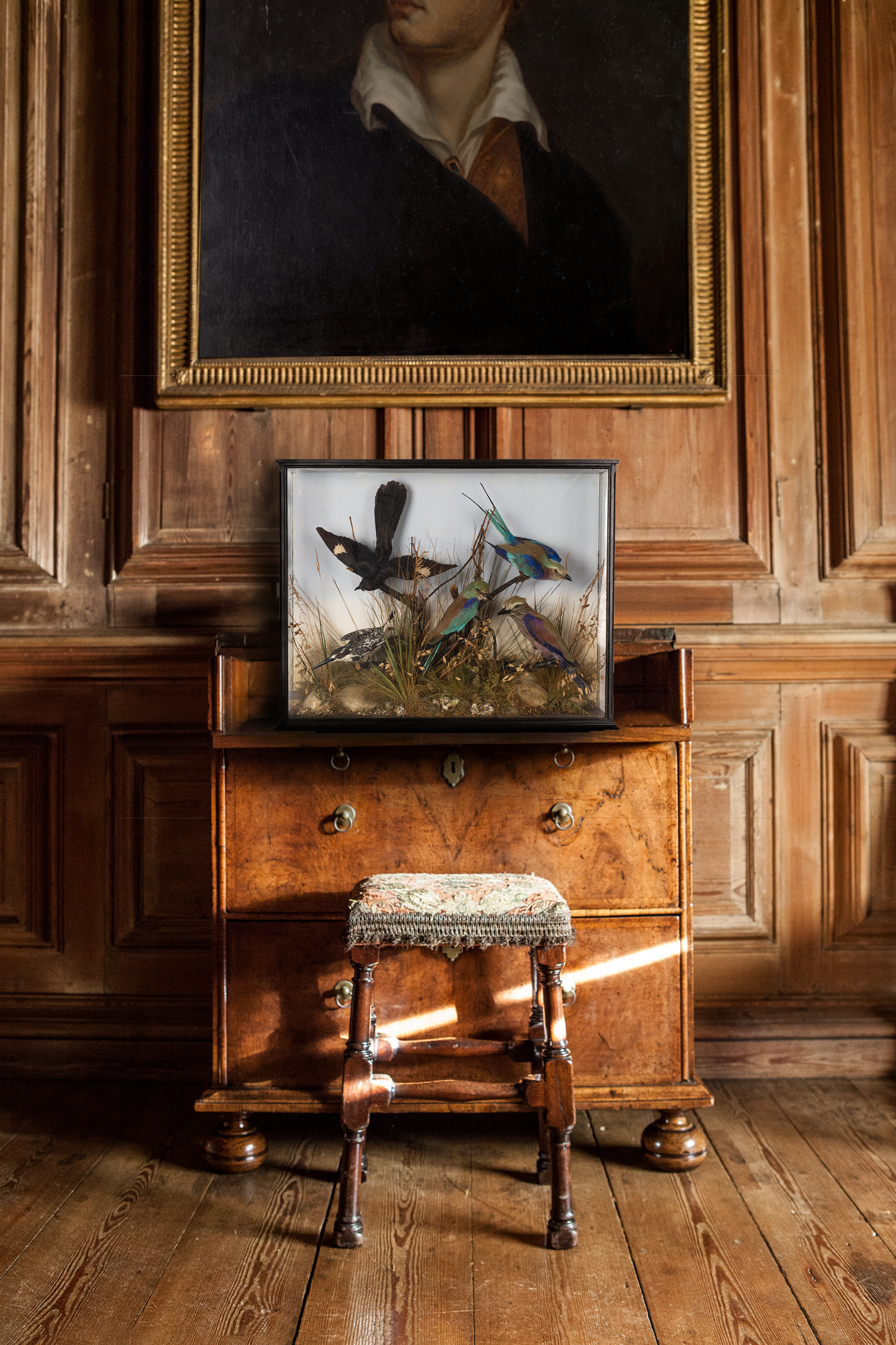 Birds Of Africa By Macleay Of Inverness