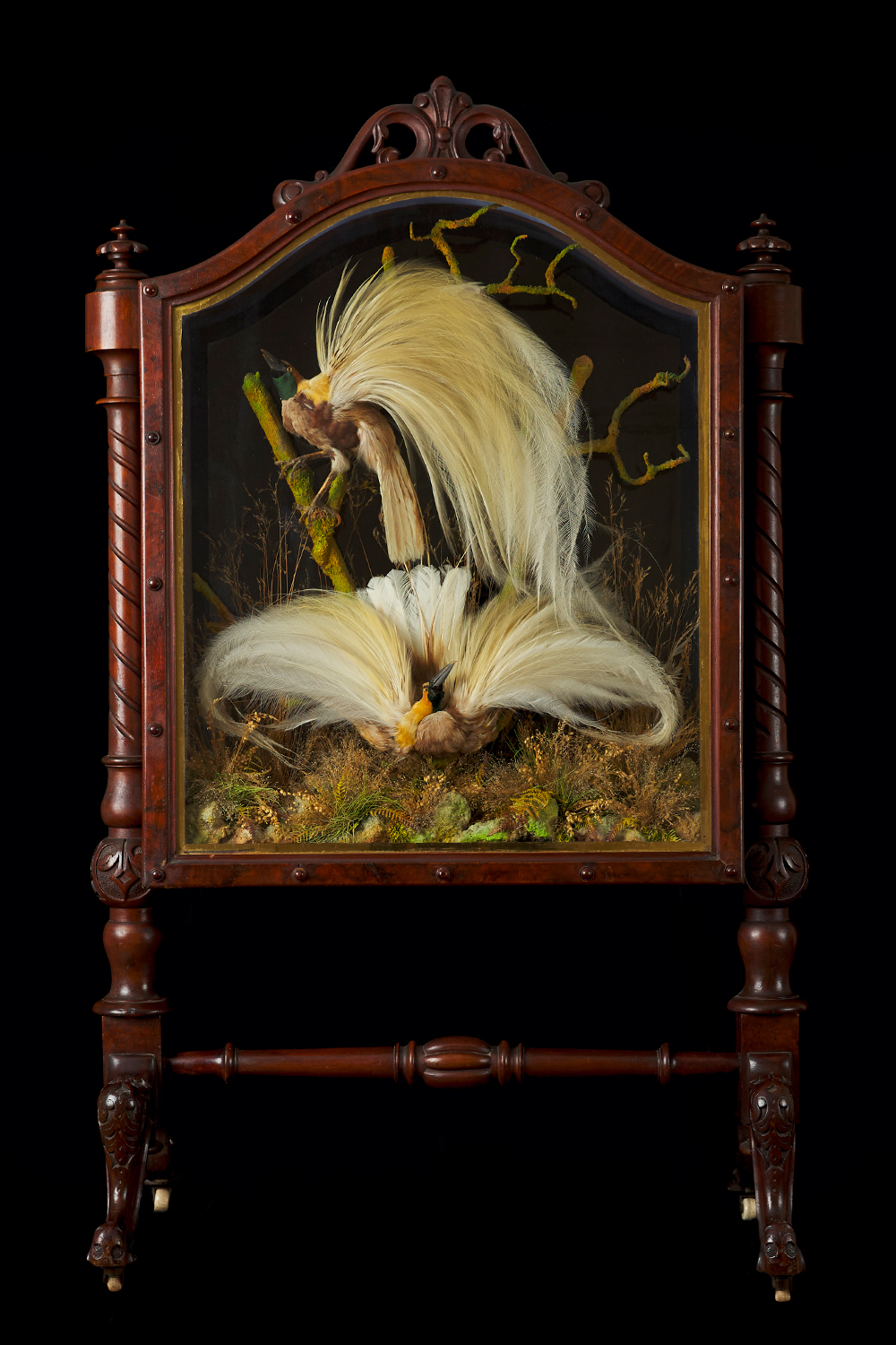 Remarkable Taxidermy Firescreen By James Gardner