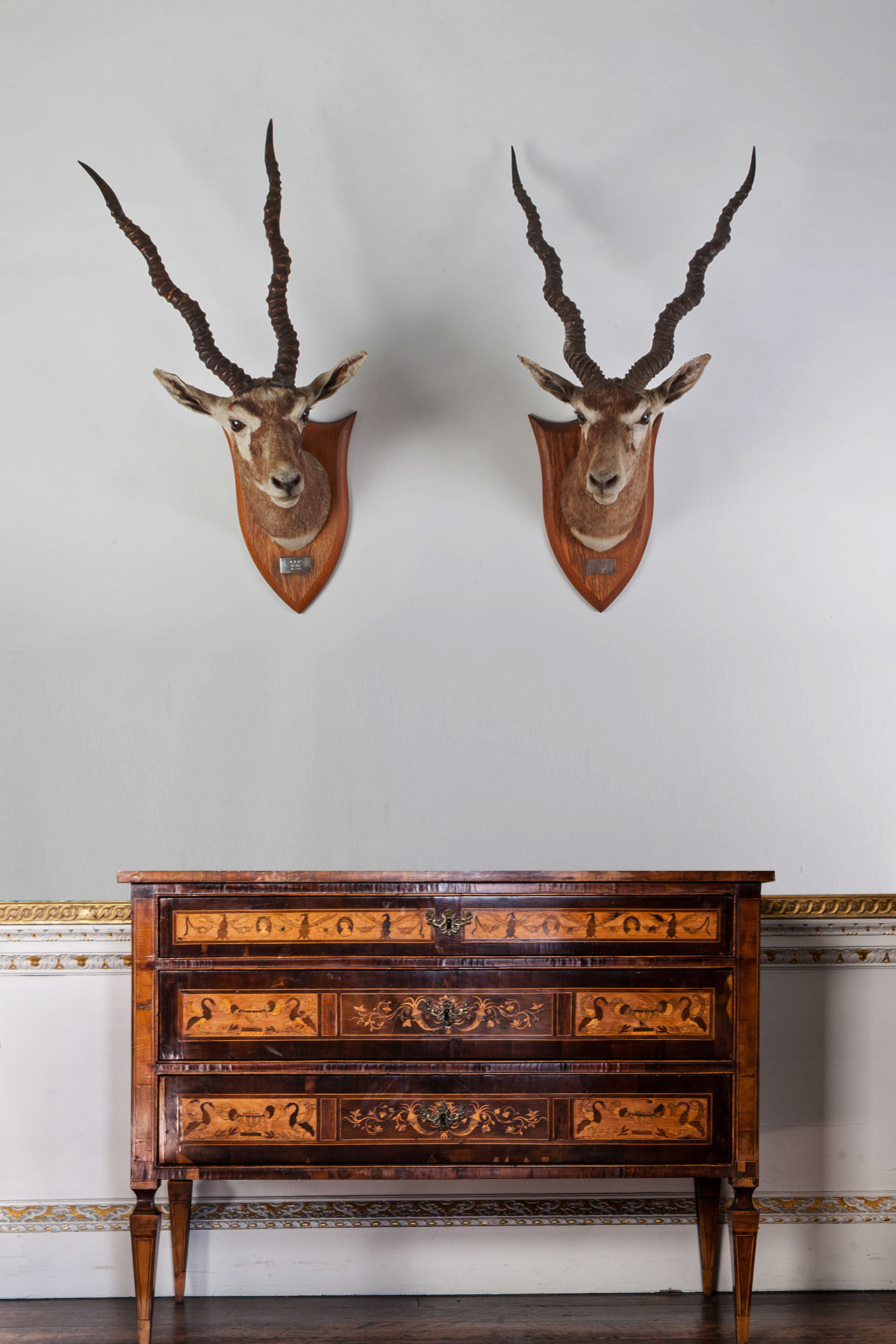 Pair of Blackbuck by Peter Spicer with solid silver plaques J.I.R DAHR 31.3.19
