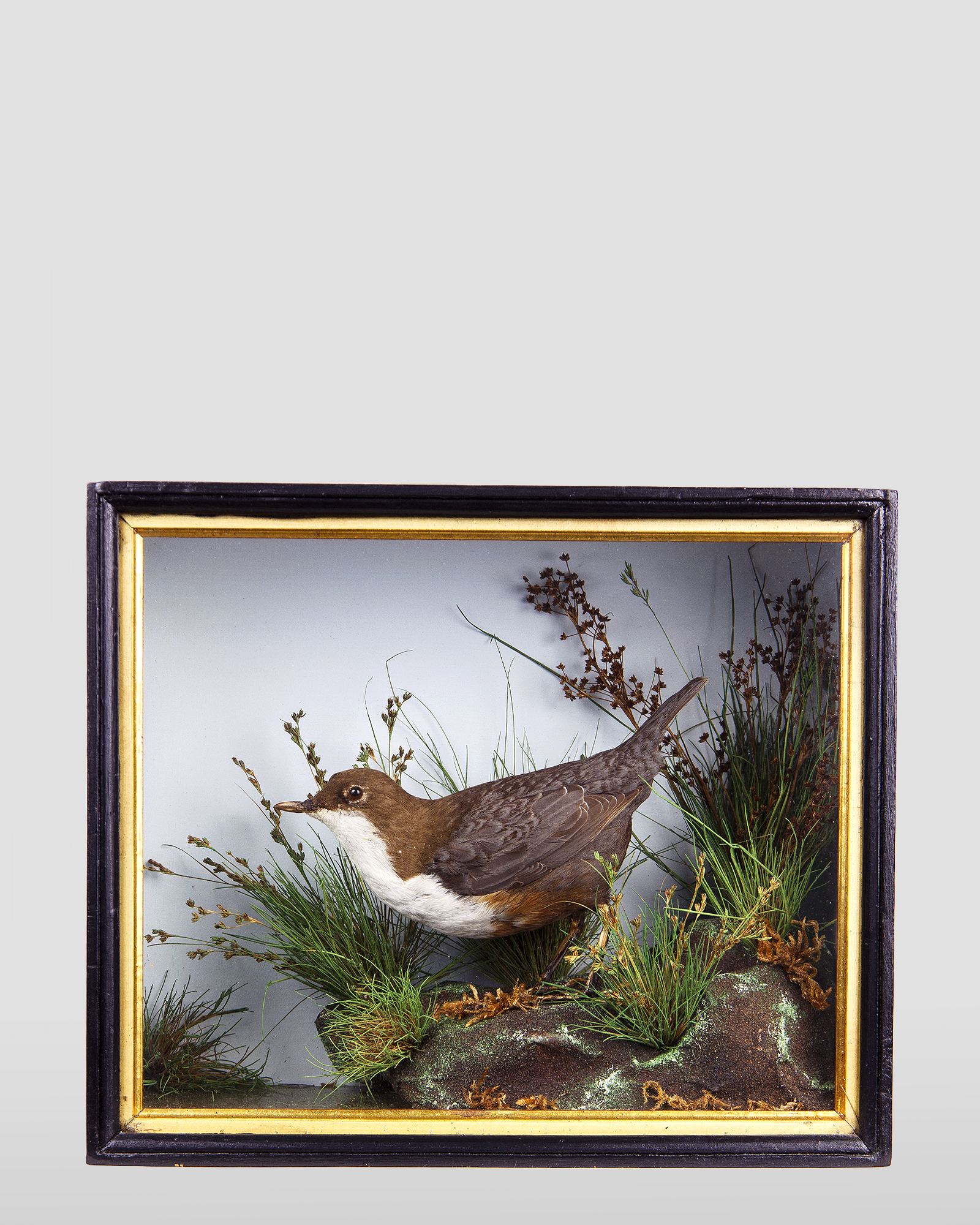Dipper Attributed to Lowne of Great Yarmouth