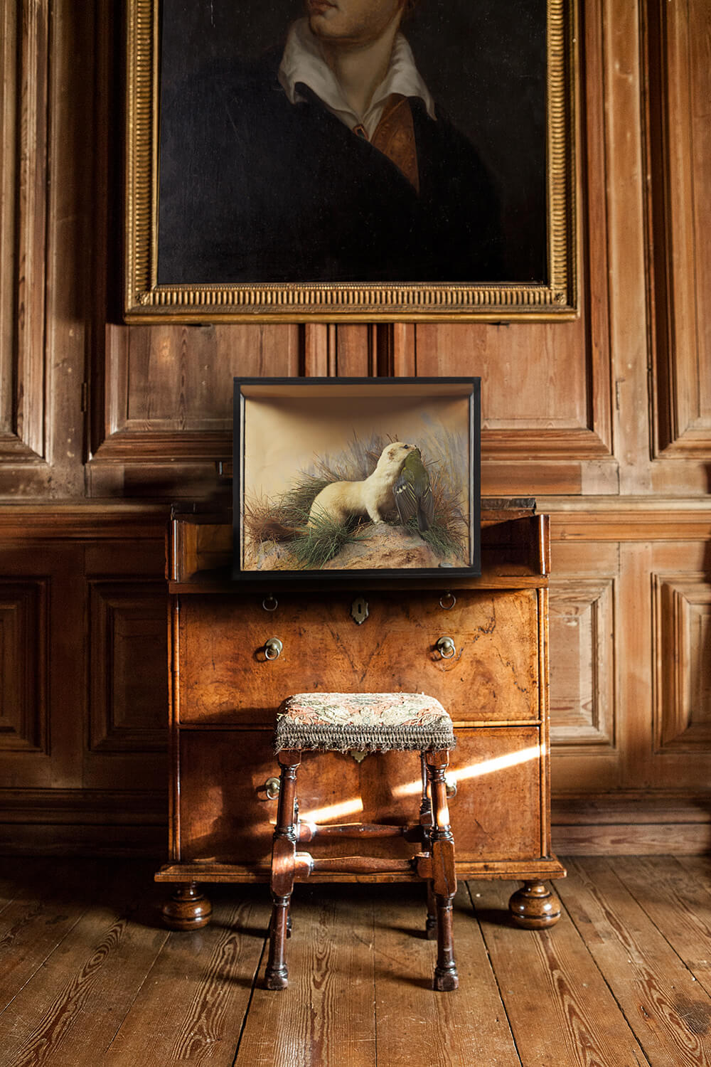 Ermine Taxidermy Case By Peter Spicer