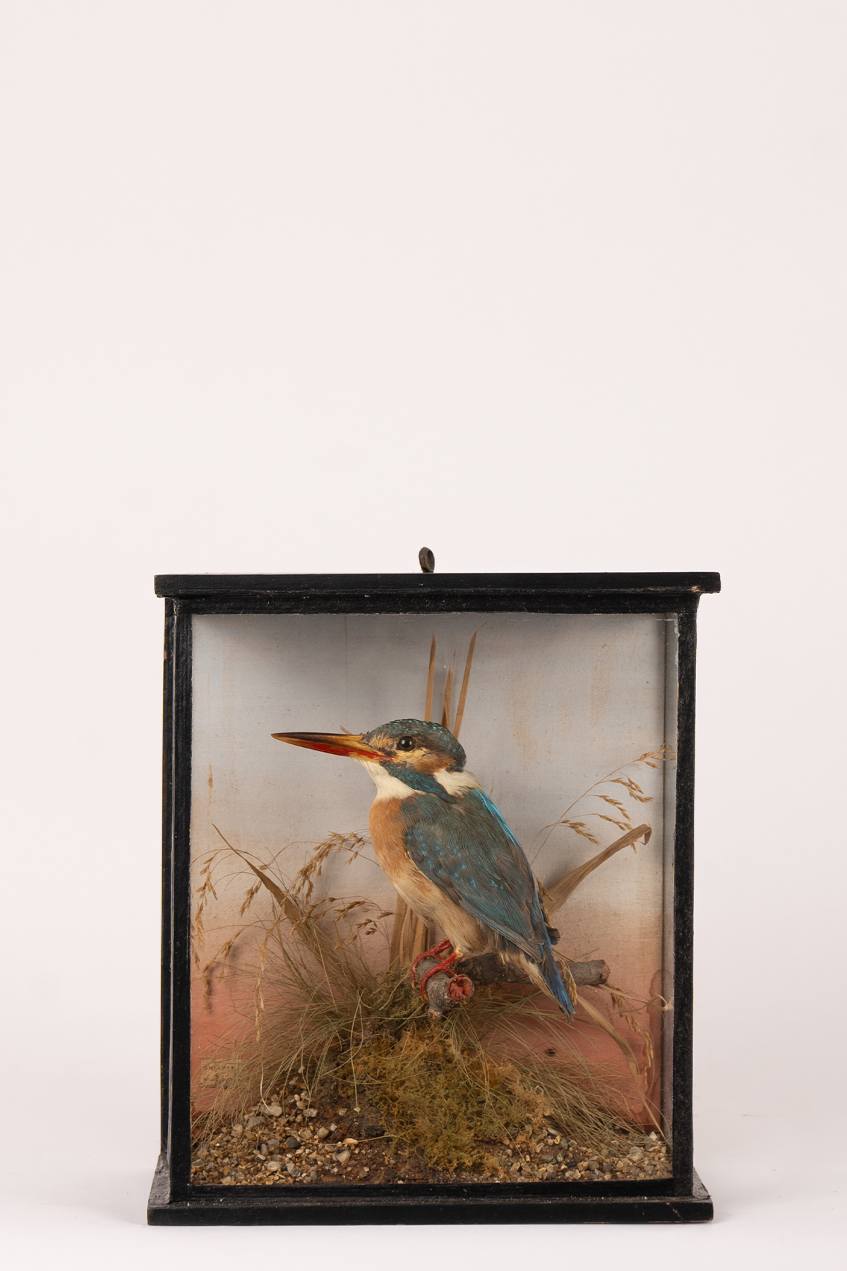 Kingfisher By Chalkney Of Winchester