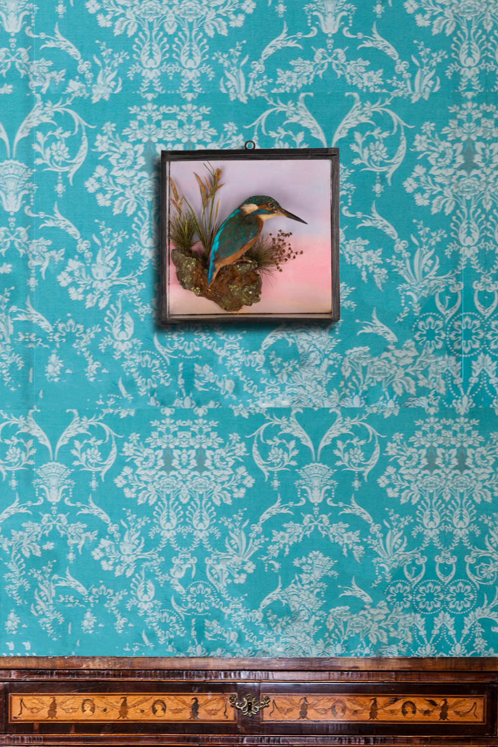 Kingfisher Wall Case By Harris Circa 1880