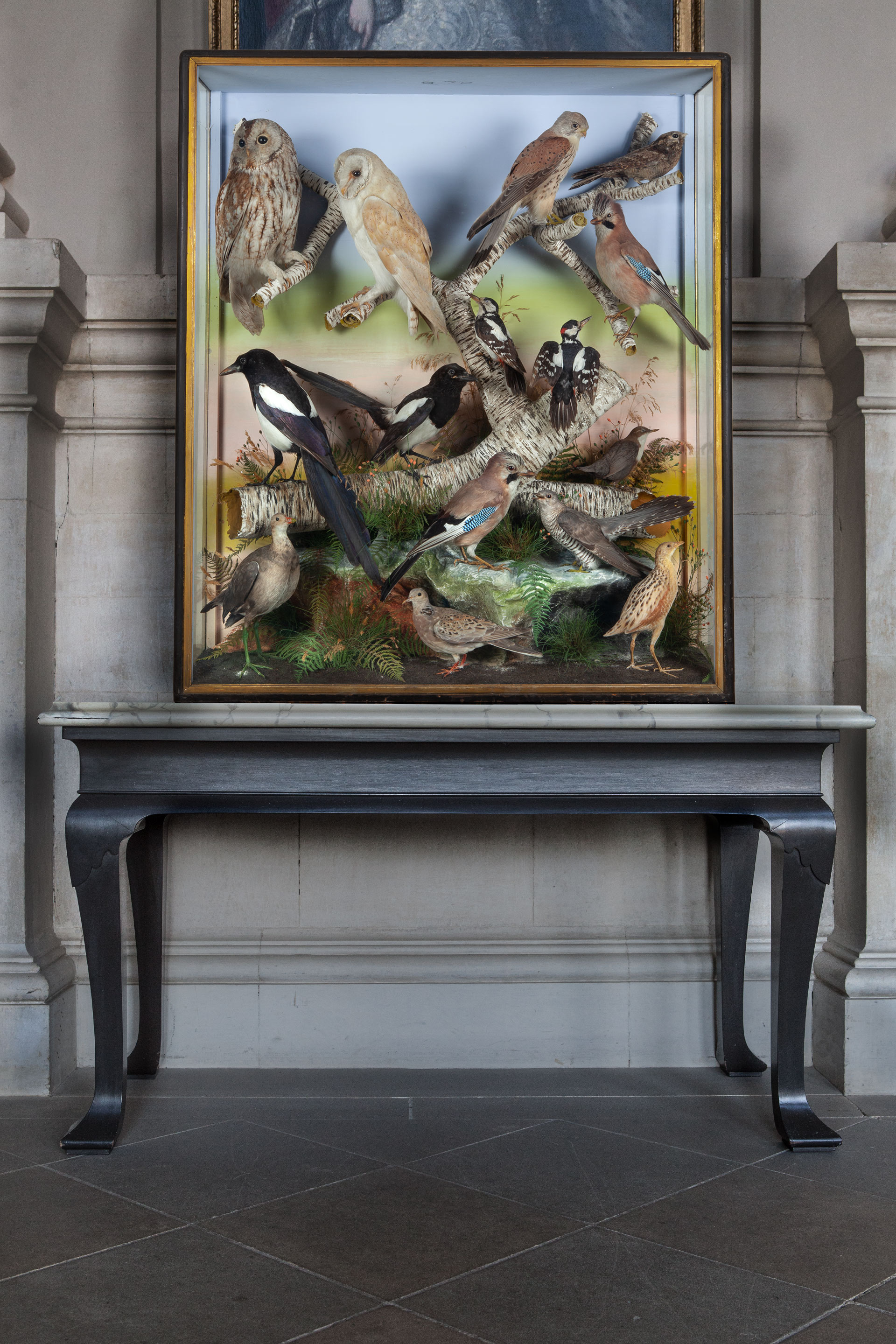 Large 19th century case of British birds by James Hutchings