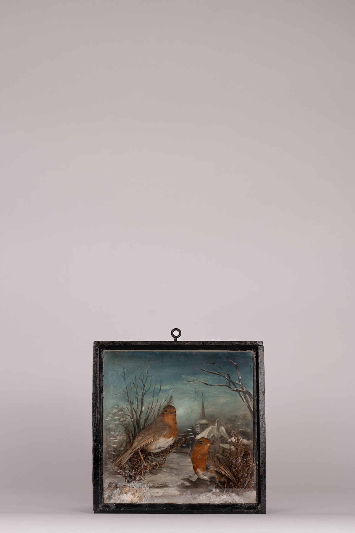 Naive Cased Robins In The Manner Of Walter Potter