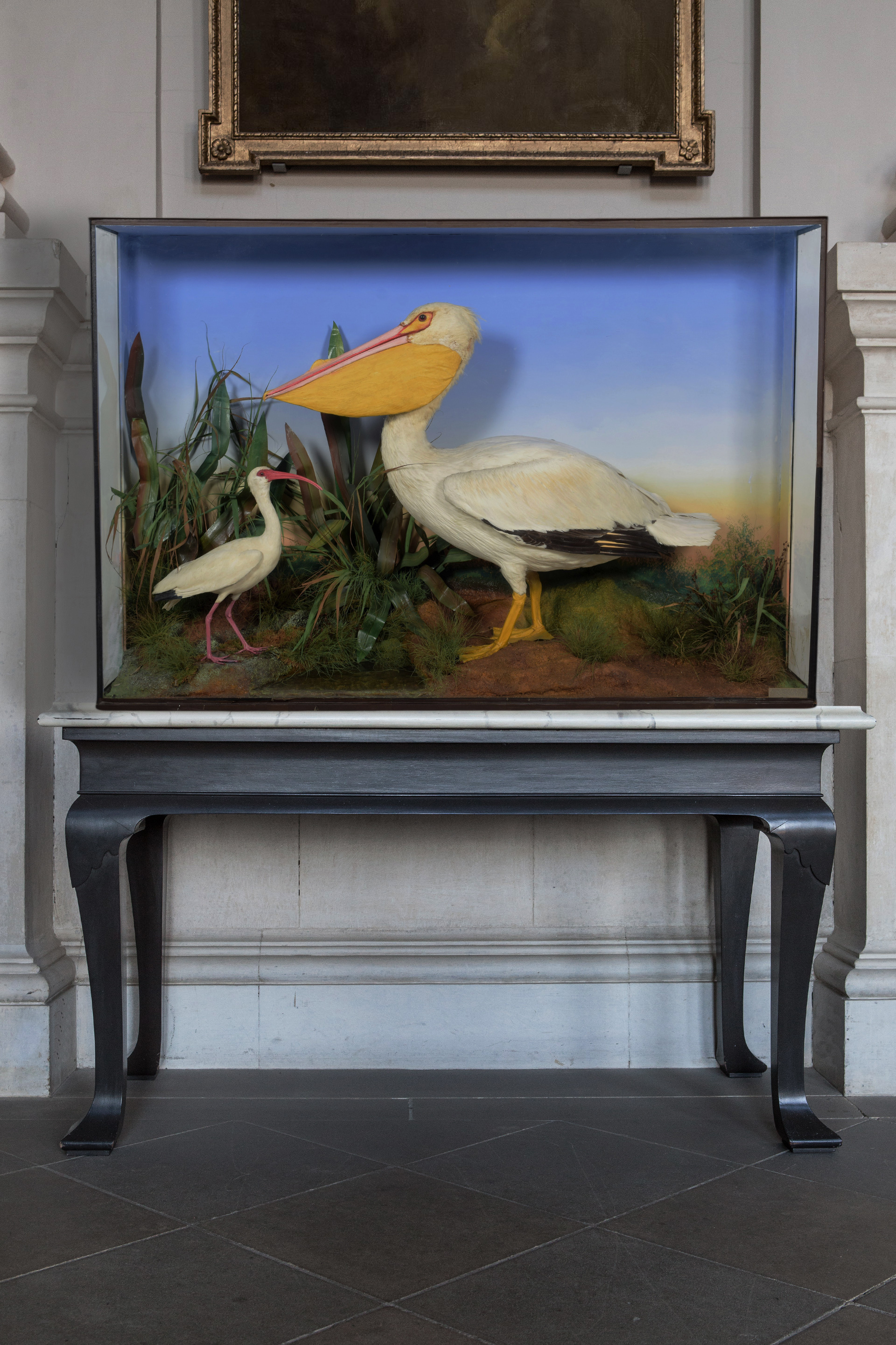 Pelican By James Gardner Circa 1860