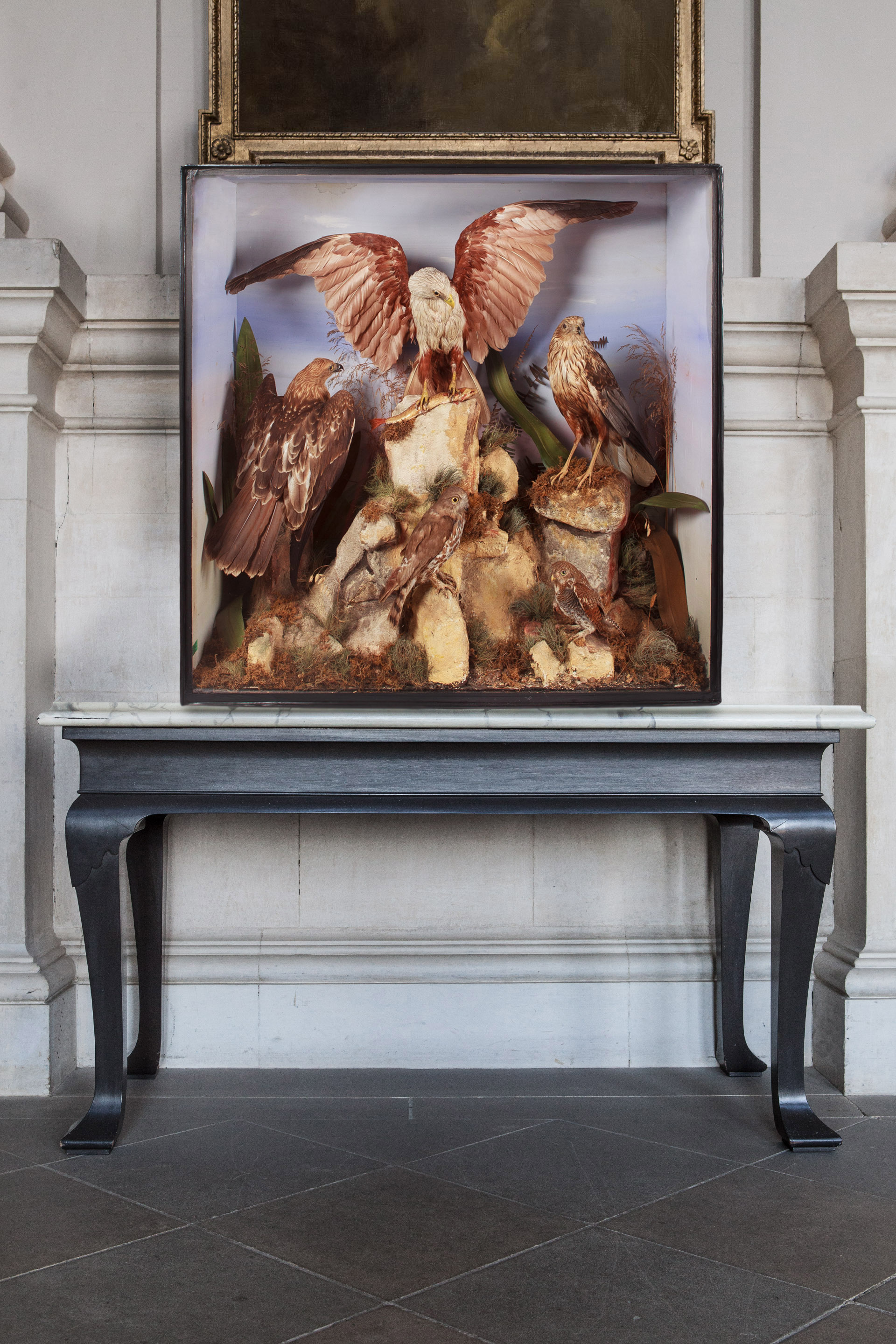 A Rare Taxidermy Case Of Asian Raptors By George Gray, Dover. Circa 1880.