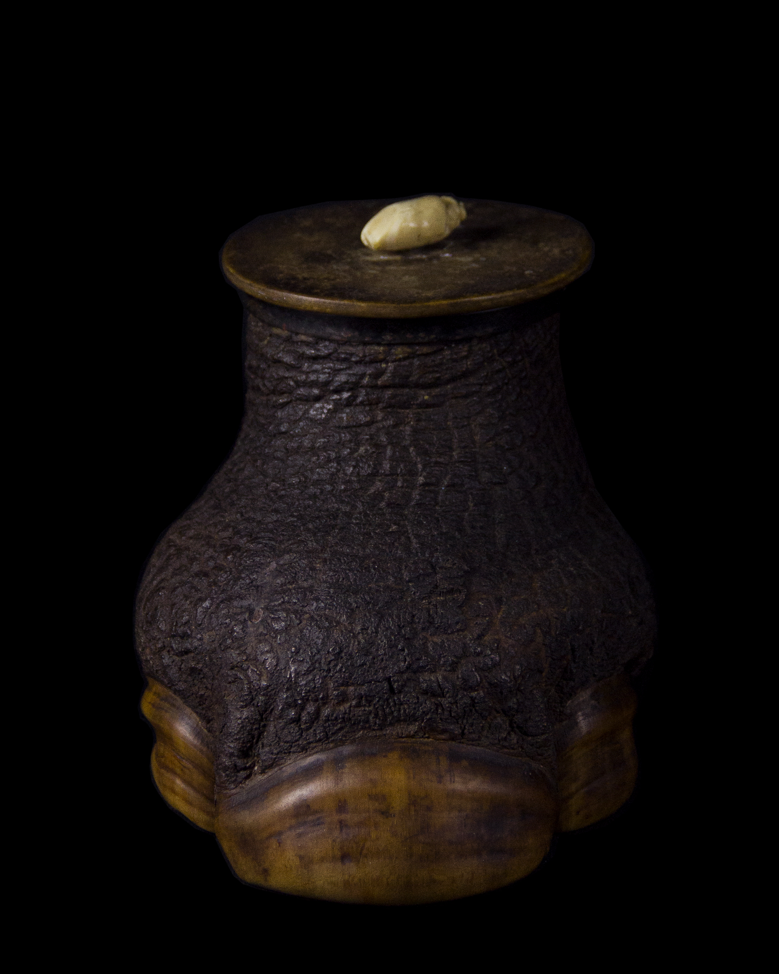 Javan Rhinoceros Foot