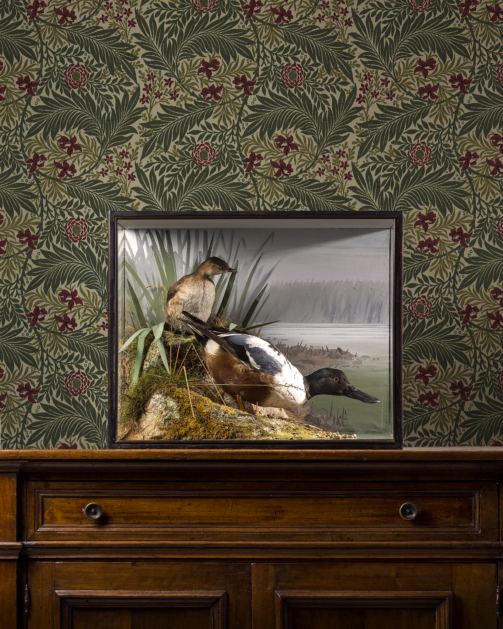 Shoveler and Little grebe by Peter Spicer & sons of Leamington Spa