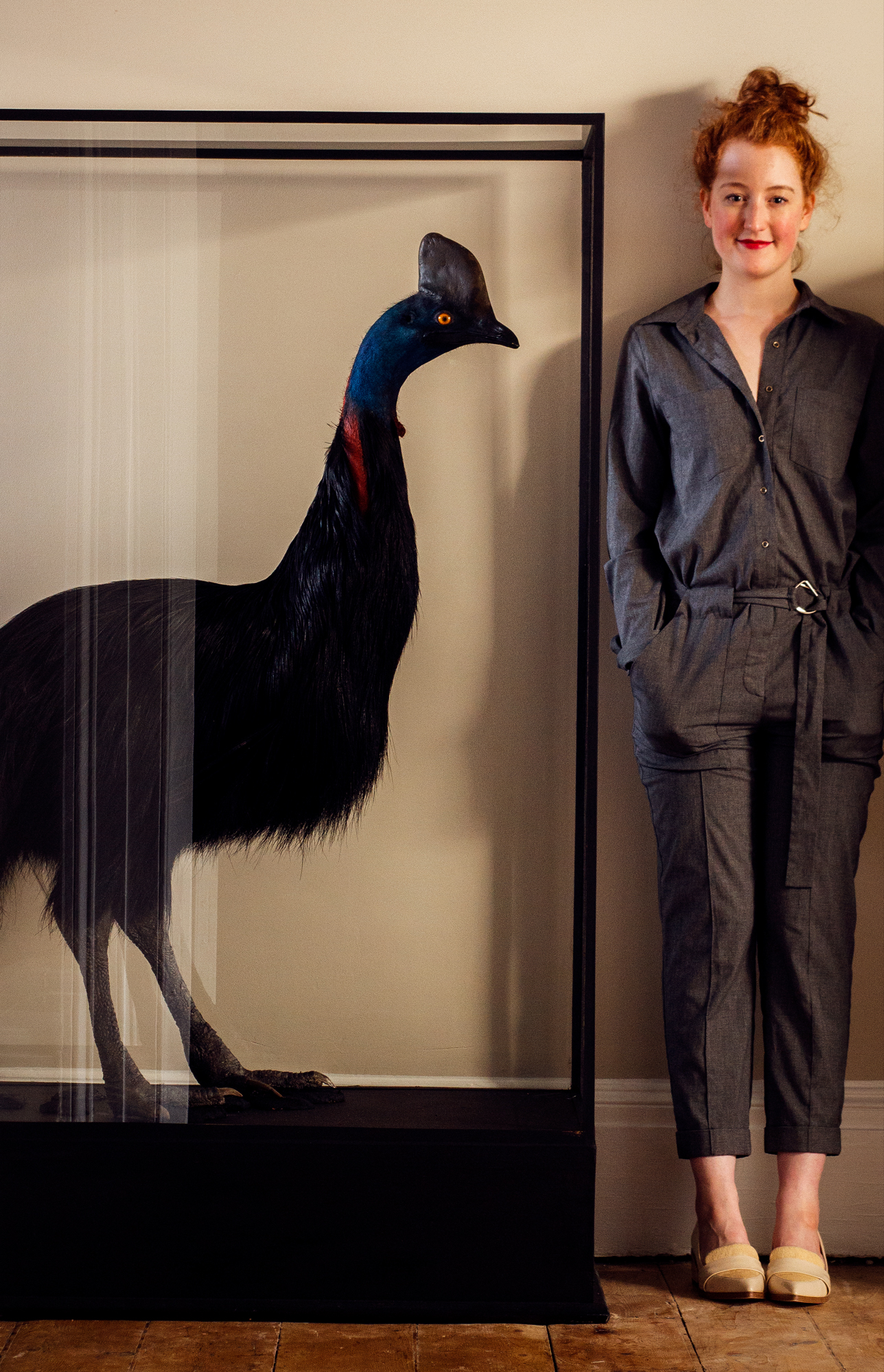 Southern Cassowary