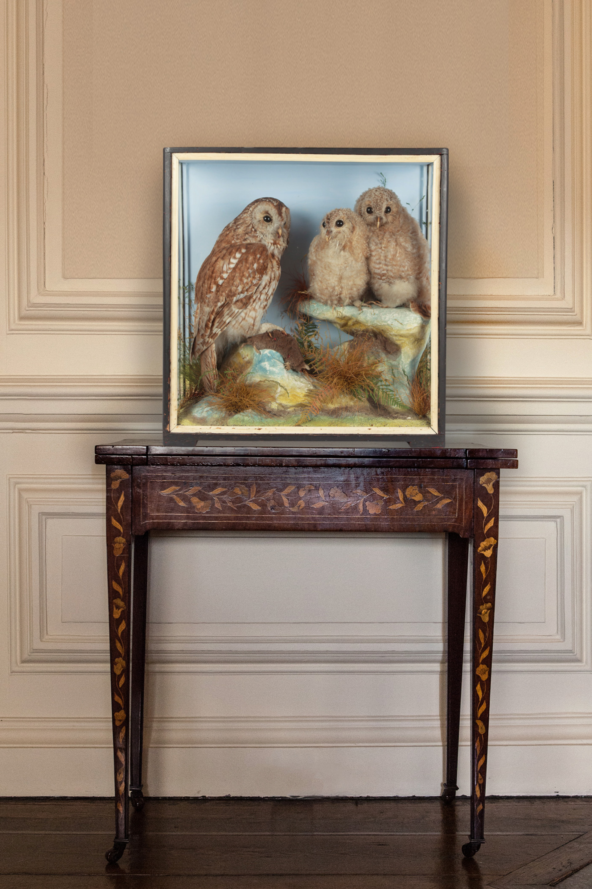 Taxidermy Tawny Owl With Chicks By James Hutchings. Circa 1920.