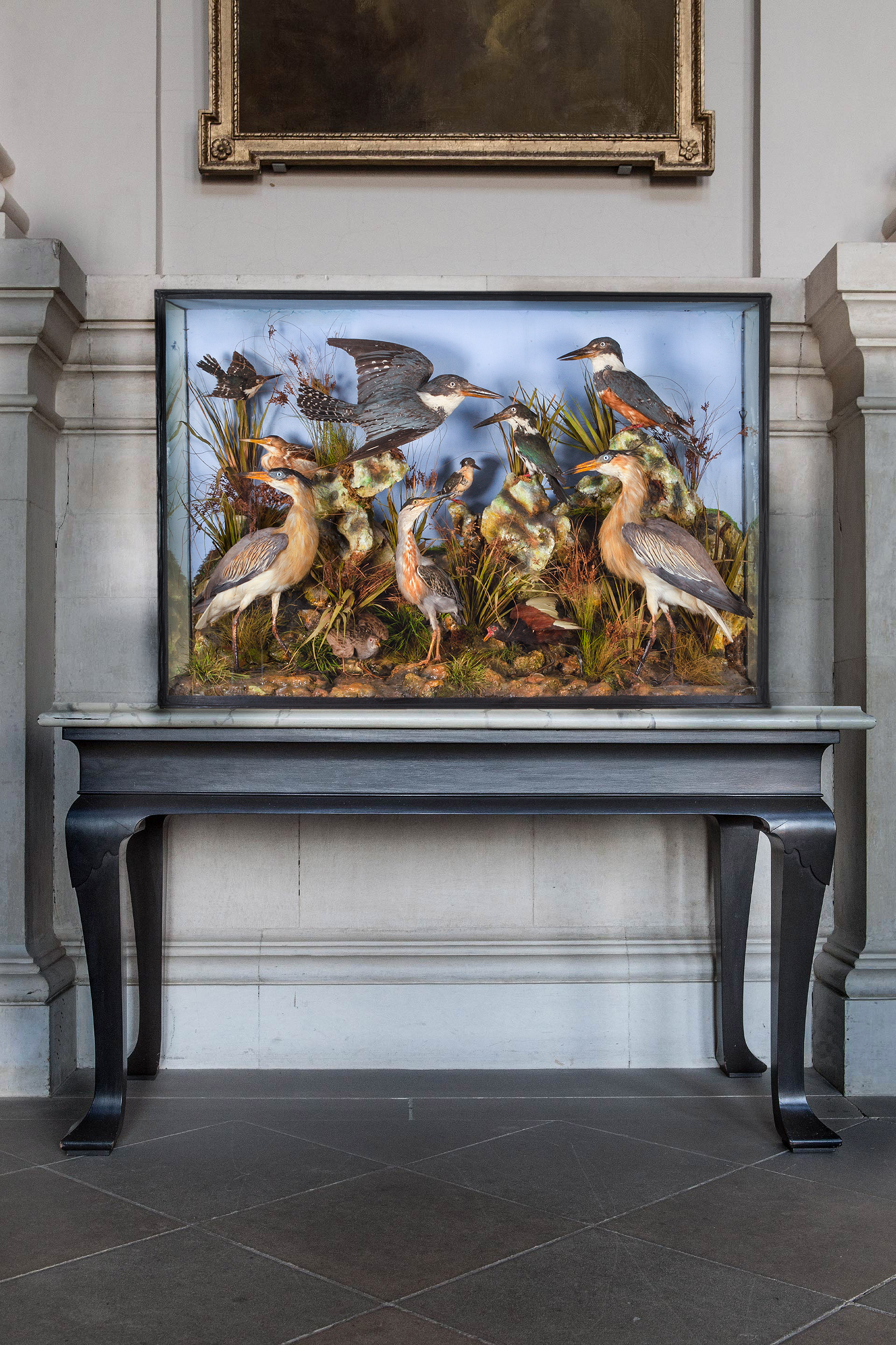 Taxidermy Tropical Kingfishers and Herons attributed to Ward & Co.