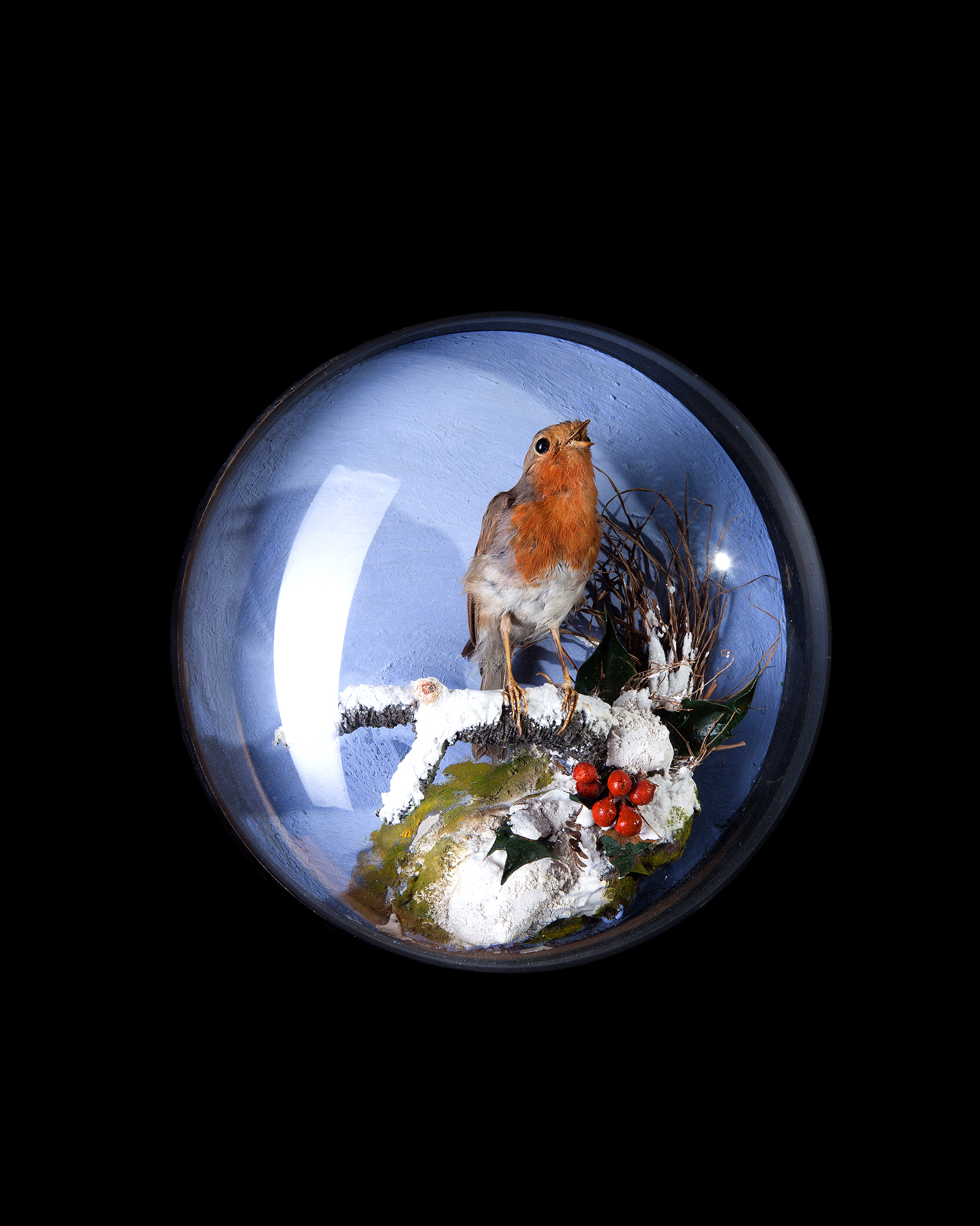 Victorian Robin in a winter scene wall dome